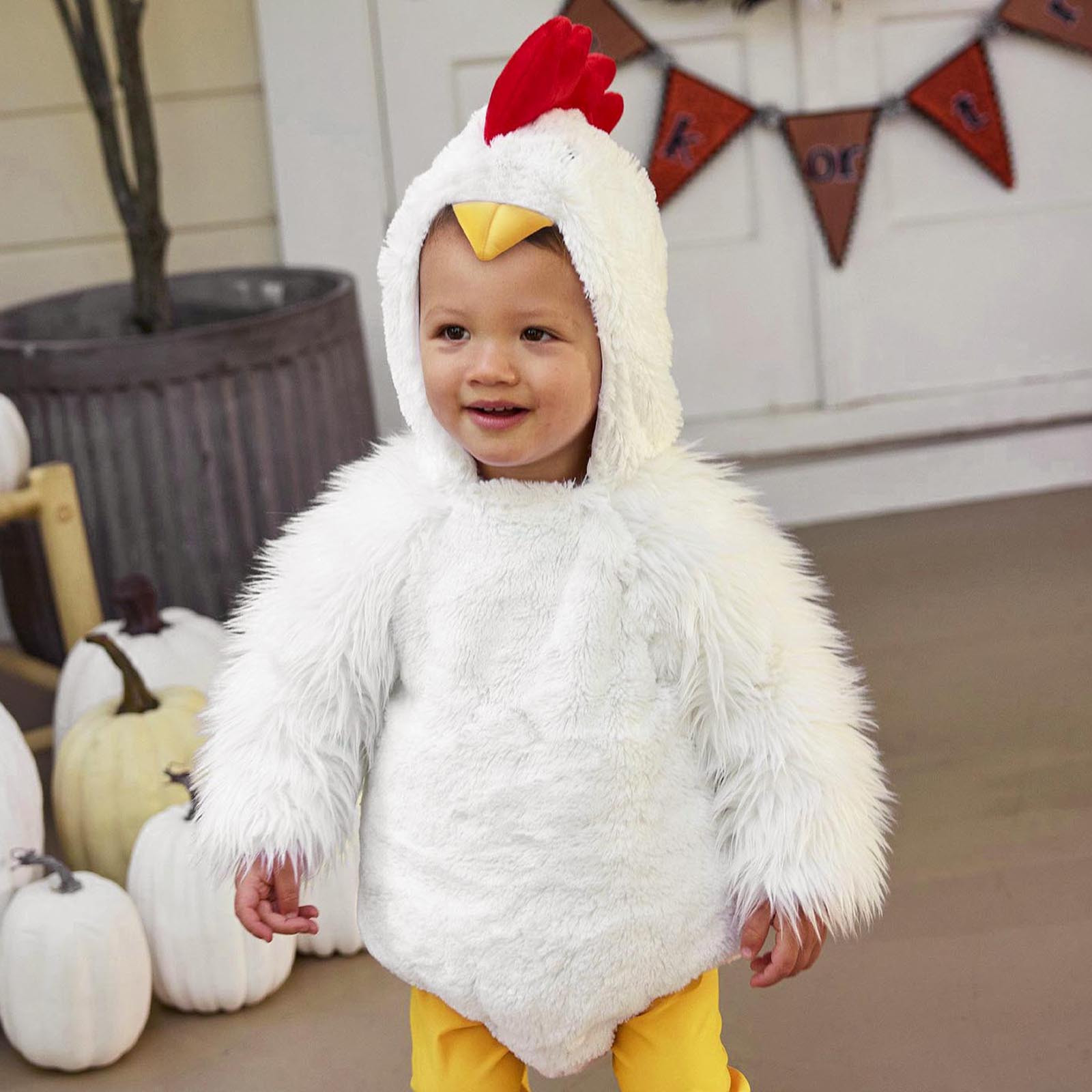 3-36M Baby Toddler Little Whit - Baby Clothing Boy review and price